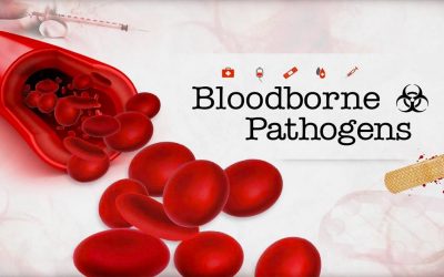 Bloodborne Pathogens Training: Safety in the Workplace